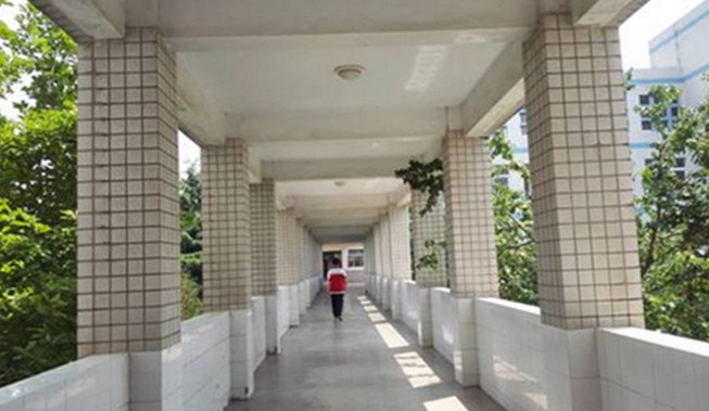 2017年高考专题五:高考季 | 高考,我们来了!